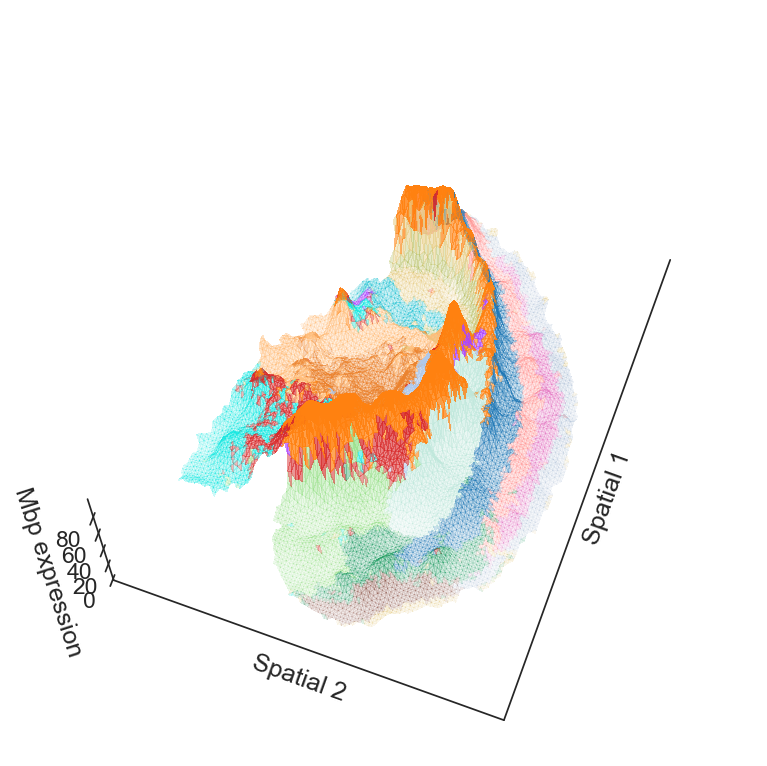 _images/StereoBrain_6_1.png